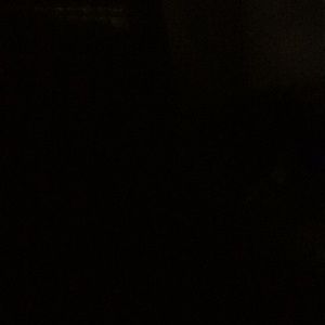 Meet your Posher, Terrell